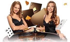 144bet